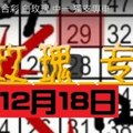 12月18日 六合彩 白玫瑰 中一 獨支專車