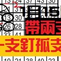 1月15日 六合彩※一支釘孤支※ 帶二支