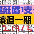 2月16日 六合彩 ★ 連莊碼1支 續追一期