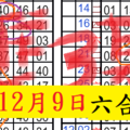 12月9日六合(必讀) + ( 深思熟慮)