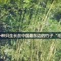 多少人 沒熬過那三厘米