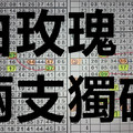 9月17日 六合彩 白玫瑰 兩支獨碰