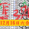 12月16日六合開二星單超高確尾專達車準星碰