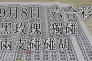 9月8日 六合彩精選 黑玫瑰 獨碰兩支碰碰胡 