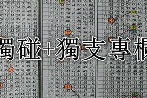 (09/08)六合彩【獨碰+獨支專欄】 