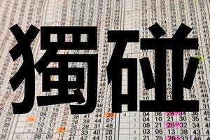 (09/10)六合 準第23個月3中1到期 