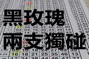 9月15日 六合彩 黑玫瑰 兩支獨碰