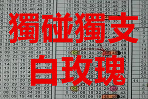 9月20日 六合彩 白玫瑰 獨碰獨支