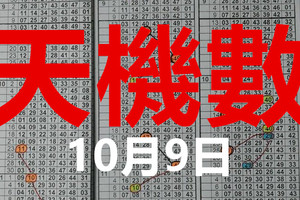 10月9日 六合彩 六合 獨碰+獨支專欄 天機數~港號~ 版路