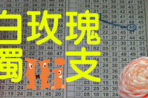 10月18日 六合彩 白玫瑰 獨支精選版路