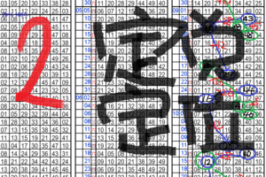 10月29日 六合彩 雙定點定位獨碰 白玫瑰 準11個月