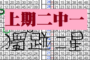  11月1日 六合彩 不定位 定點 加減碼 毒支 獨椪二星