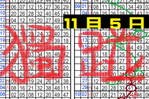 11月05日 六合彩 不定位 定點 加減碼 毒支 獨碰