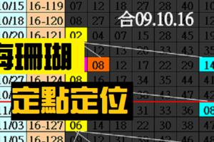 11月8日 六合彩 海珊瑚 定點定位獨碰二星