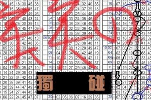 11月13日 六合彩 美美搭 獨碰二星 ~送2獨支專車