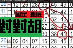 11月15日 六合彩 對對胡 二支獨碰 定點不定位 ~ 雙碰