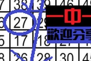 11月19日 六合彩 獨支一中一 ~歡迎分享~ 心心知我心~