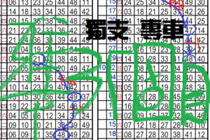 11月19日 六合彩 獨支 專車 ~ 準13個月