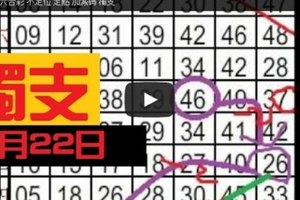 11月22日 六合彩 不定位 定點 加減碼 獨支