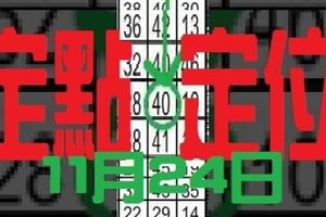 11月24日 六合彩主碰 準15個月 二星~ 定點定位