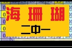 12月1日 六合彩 海珊瑚 獨碰二種一 ~比對獨碰