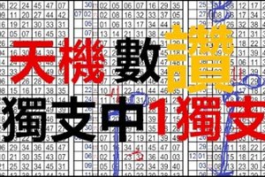 (12/08)六合彩【獨碰+獨支專欄】天機數~港號~