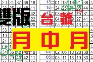 (12/10)六合至尊港彩 == 專車一支 == 月中月令牌出爐 ==