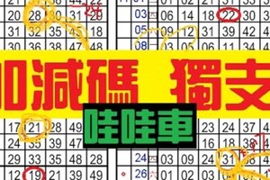 12月10日 六 合彩 不定位 定點 加減碼 獨支 專車