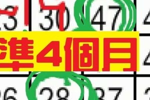 12月13日 六合彩 ~準4個月 ~獨支專車