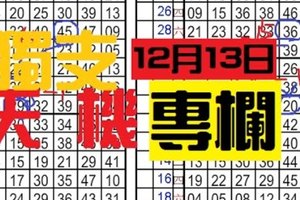 (12/13)六合彩【獨碰+獨支專欄】天機數~港號~