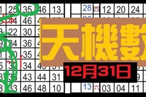 (12/31) 六合彩【獨碰+獨支專欄】天機數~港號