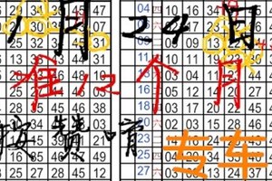 1月24日 六合彩準8個月 ~案讚唷 獨支專車 ~傻輛輛