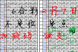 [02/07] 6合彩 不定位 定點 加減碼 獨支