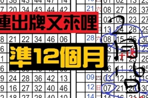 2月16日 六合彩 準8個月 連出牌 又來哩