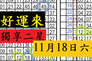 11月18日六合好運來 獨享二星