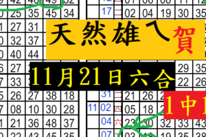 11月21日六合..天 然 雄 ㄟ 厚 ...天嗚嗚