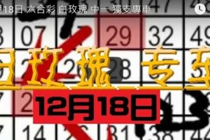 12月18日 六合彩 白玫瑰 中一 獨支專車