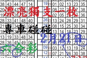  2月21日六合彩--上好的菜--獨支碰碰車 漂亮獨支一枚 ~ 專車碰碰