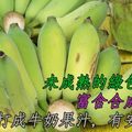 吃對這款「綠香蕉皮」搭牛奶　專家：助安神解緊張