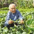 102歲老人竟擁有30歲器官，都是因為常吃「它」！保護心臟、預防骨質疏鬆和老年痴呆，每個人都適用！ 