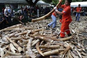 居民路邊發現大量「彎鉤狀物體」，看到眼前的一幕都不願相信，沒想到這些竟然是..... 