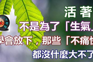 活著，不是為了「生氣」！學會放下，那些「不痛快」都沒什麼 大不了... 