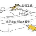 10張「如果動物會說話」的幽默漫畫，才看第一張我就笑瘋啦XDD