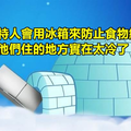 沒在唬爛！13個讓你驚覺「自己根本不懂地球」的超傻眼事實。#7為何要用椅子訓練獅子？