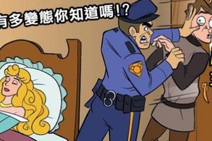 如果「警察亂入迪士尼動畫」大概不只壞蛋，連王子都會被當變態抓走…