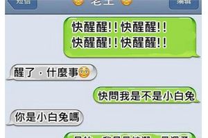 詢問：你有這樣的損友嗎？！半夜不睡覺特地打給你只為了....