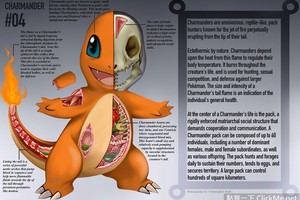 超逼真《Pokémon解剖圖鑑》，深入解析寶可夢的身體構造！