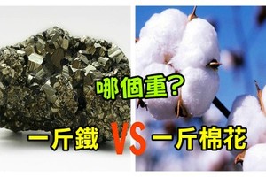 《科學小知識》一斤棉花比一斤鐵重？５個物理百科冷知識