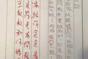 這個學生【因為沒放標點符號】害到整篇作文變成超血腥的【殺人網】