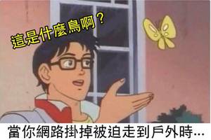 18個看得懂的話 就代表你已經網路中毒太深的超爆笑梗圖！